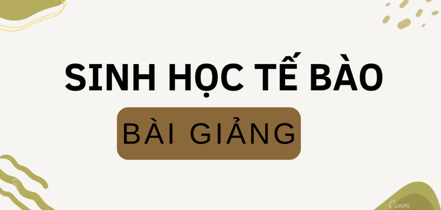 Bài giảng PPT (Power Point) học phần Sinh học tế bào | SLIDE | Đại học Bách Khoa Hà Nội (2025)