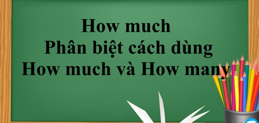 How much là gì? | Cấu trúc - Cách dùng - Phân biệt cách dùng How much và How many trong tiếng Anh - Bài tập vận dụng (2025)