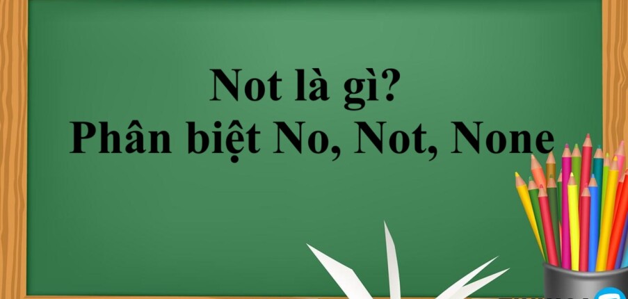 Not là gì? | Định nghĩa,  Phân biệt No Not None và bài tập vận dụng (2025)