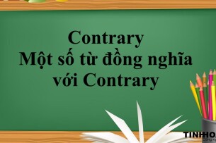 Contrary là gì? | Cấu trúc Should - Contrary đi với giới từ gì - Một số từ đồng nghĩa với Contrary - Bài tập vận dụng (2025)