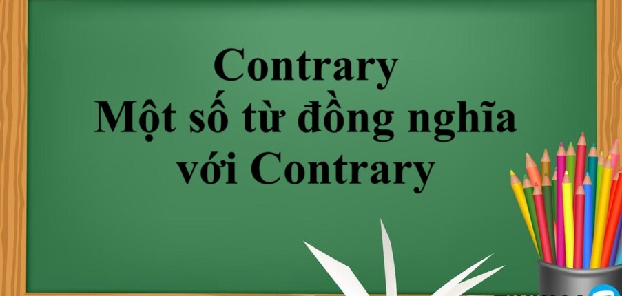 Contrary là gì? | Cấu trúc Should - Contrary đi với giới từ gì - Một số từ đồng nghĩa với Contrary - Bài tập vận dụng (2025)