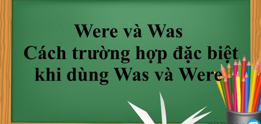 Were và Was | Định nghĩa, cách dùng, Cách trường hợp đặc biệt khi dùng Was và Were và bài tập vận dụng (2025)