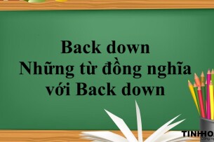 Back down là gì? | Định nghĩa - Cách dùng - Những từ đồng nghĩa với Back down - Bài tập vận dụng (2025)