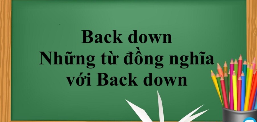 Back down là gì? | Định nghĩa - Cách dùng - Những từ đồng nghĩa với Back down - Bài tập vận dụng (2025)