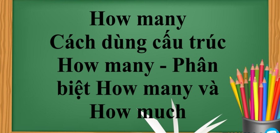 How many dùng để làm gì? |Cách dùng cấu trúc How many - Phân biệt How many và How much - Bài tập vận dụng (2025)