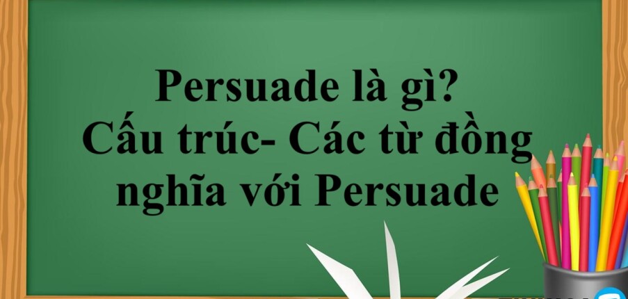Persuade là gì? | Cấu trúc- Các từ đồng nghĩa với Persuade - Bài tập vận dụng (2025)