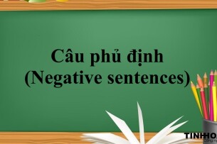 Câu phủ định (Negative sentences) | Định nghĩa, Cấu trúc, dấu hiệu nhận biết chung - Bài tập vận dụng (2025)