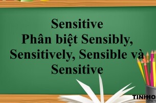 Sensitive là gì?  | Cấu trúc, phân biệt Sensibly, Sensitively, Sensible và Sensitive và bài tập vận dụng (2025)