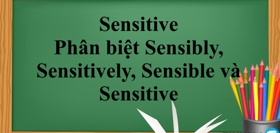 Sensitive là gì?  | Cấu trúc, phân biệt Sensibly, Sensitively, Sensible và Sensitive và bài tập vận dụng (2025)