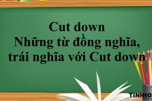 Cut down là gì? | Định nghĩa - Cấu trúc - Những từ đồng nghĩa, trái nghĩa với Cut down - Bài tập vận dụng (2025)