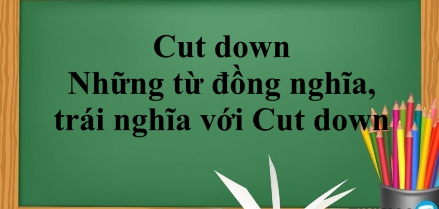 Cut down là gì? | Định nghĩa - Cấu trúc - Những từ đồng nghĩa, trái nghĩa với Cut down - Bài tập vận dụng (2025)