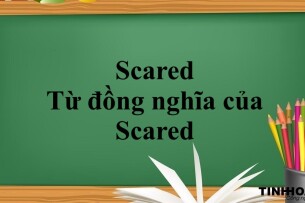 Scared là gì? | Khái niệm, cách phân biệt và từ đồng nghĩa của Scared (2025)