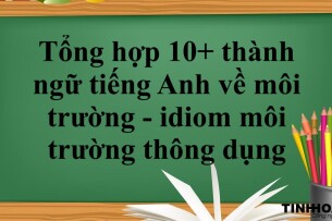 Tổng hợp 10+ thành ngữ tiếng Anh về môi trường - idiom môi trường thông dụng (2025)