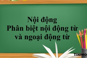 Nội động từ là gì? | Cấu trúc - phân biệt nội động từ và ngoại động từ trong tiếng anh - Bài tập vận dụng (2025)