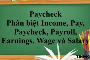 Paycheck là gì? | Phân biệt Income, Pay, Paycheck, Payroll, Earnings, Wage và Salary tiếng Anh (2025)