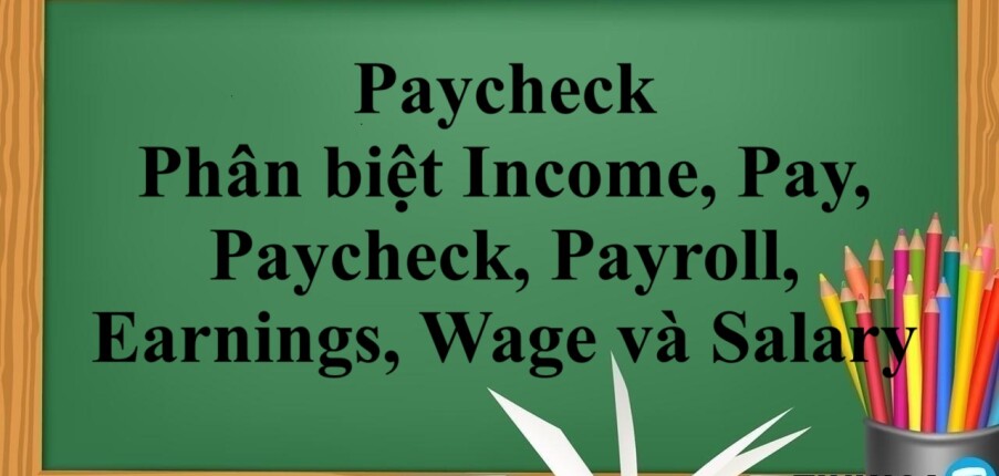 Paycheck là gì? | Phân biệt Income, Pay, Paycheck, Payroll, Earnings, Wage và Salary tiếng Anh (2025)