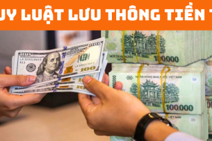 Khái niệm quy luật lưu thông tiền tệ? Vai trò và ví dụ về quy luật lưu thông tiền tệ (2025)
