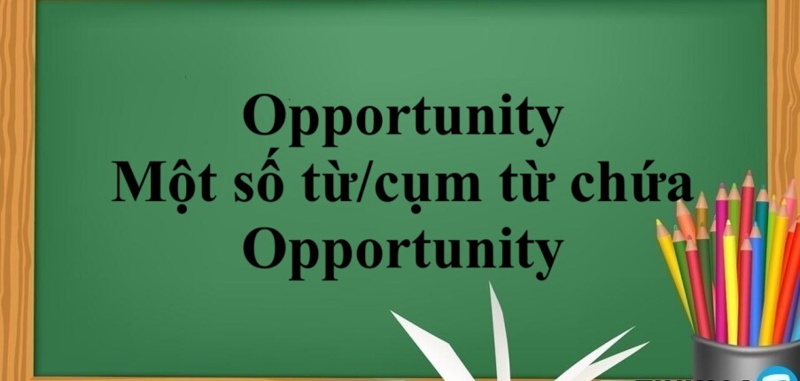 Opportunity là gì? | Định nghĩa, cách dùng và một số từ/cụm từ chứa Opportunity (2025)