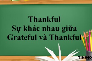 Thankful là gì? | Định nghĩa, cấu trúc, phân biệt Grateful, Thankful và bài tập vận dụng (2025)