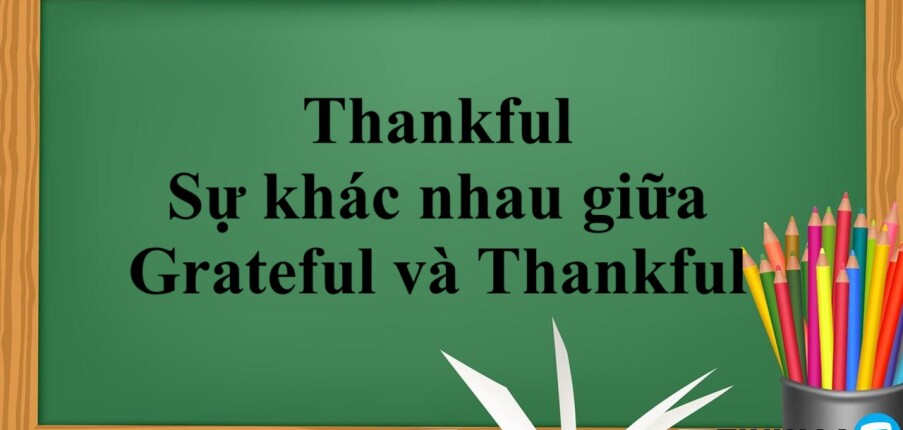 Thankful là gì? | Định nghĩa, cấu trúc, phân biệt Grateful, Thankful và bài tập vận dụng (2025)