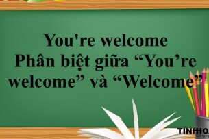 You're welcome là gì? | Cách dùng, Phân biệt giữa “You’re welcome” và “Welcome” | Bài tập vận dụng (2025)