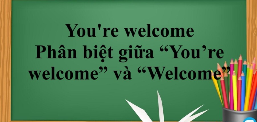 You're welcome là gì? | Cách dùng, Phân biệt giữa “You’re welcome” và “Welcome” | Bài tập vận dụng (2025)