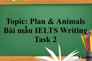 Topic: Plan & Animals | Bài mẫu IELTS Writing Task 2 (2025)