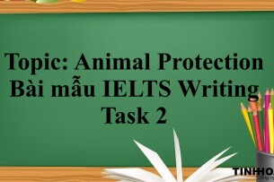 Topic: Animal Protection | Bài mẫu IELTS Writing Task 2 (2025)