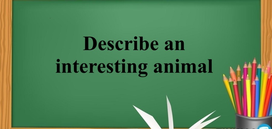 Describe an interesting animal | Bài mẫu IELTS Speaking Part 2,3 (2025)
