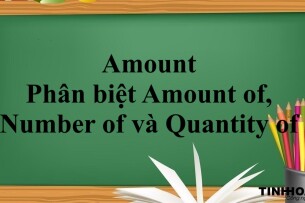 Amount là gì? | Cấu trúc - Phân biệt Amount of, Number of và Quantity of và bài tập vận dụng (2025)