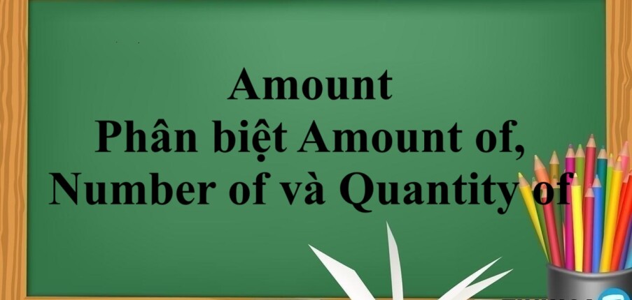 Amount là gì? | Cấu trúc - Phân biệt Amount of, Number of và Quantity of và bài tập vận dụng (2025)