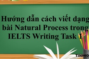 Hướng dẫn cách viết dạng bài Natural Process trong IELTS Writing Task 1 (2025)