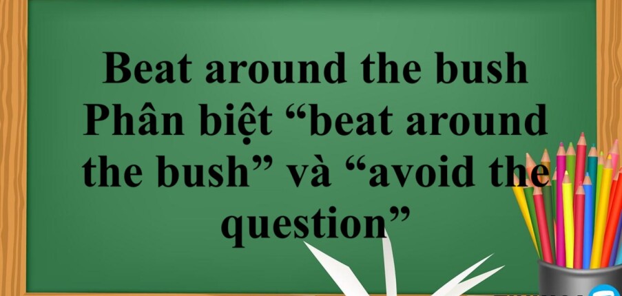 Beat around the bush là gì? | Cách dùng - Phân biệt “beat around the bush” và “avoid the question” -Bài tập vận dụng (2025)