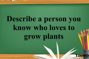 Describe a person you know who loves to grow plants | Bài mẫu Speaking Part 2, 3 (2025)