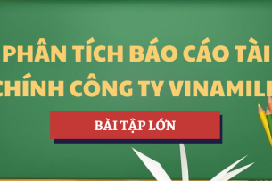 Tiểu luận Phân tích báo cáo tài chính Công ty Vinamilk | Học phần Quản trị tài chính | UTC - Trường Đại học Giao thông Vận tải (2025)