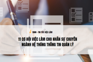 11 cơ hội việc làm cho nhân sự chuyên ngành Hệ thống thông tin quản lý