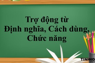 Trợ động từ là gì? | Định nghĩa, Cách dùng, Chức năng và bài tập vận dụng (2025)