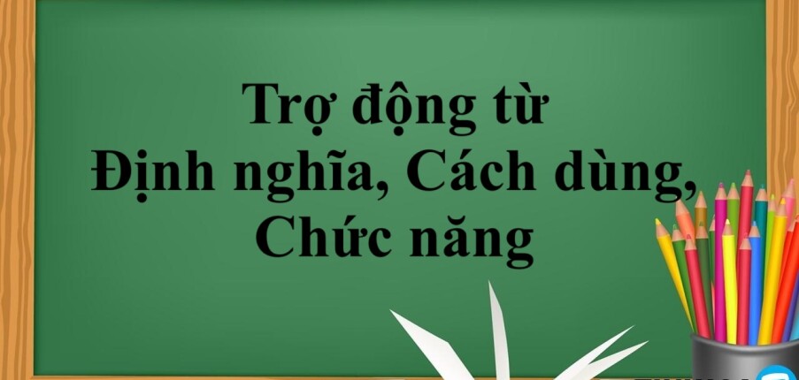 Trợ động từ là gì? | Định nghĩa, Cách dùng, Chức năng và bài tập vận dụng (2025)