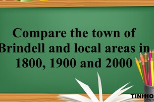 Compare the town of Brindell and local areas in 1800, 1900 and 2000 | Bài mẫu IELTS Writing Task 1 (2025)