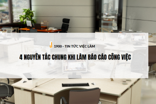 Báo cáo công việc là gì? 4 Nguyên tắc chung khi làm báo cáo công việc 