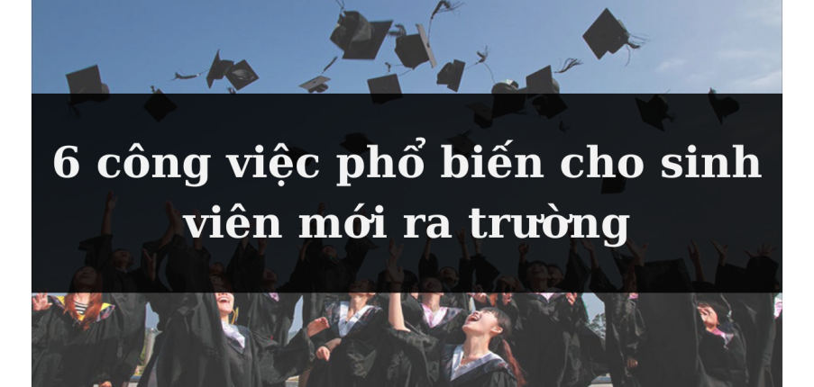 Gợi ý 6 công việc phổ biến cho sinh viên mới ra trường