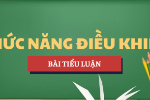Tóm tắt lý thuyết Chức năng điều khiển | Học phần Quản trị học | NTU - Trường Đại Học Nha Trang (2025)