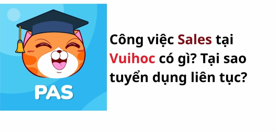 Công việc Sales tại Vuihoc có gì? Tại sao tuyển dụng liên dụng?
