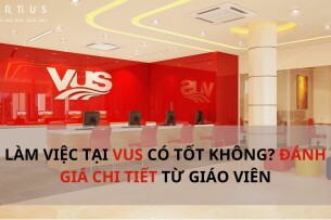 Làm việc tại VUS có tốt không? Đánh giá chi tiết từ giáo viên