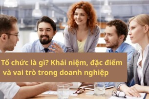 Tổ chức là gì? Khái niệm, đặc điểm và vai trò trong doanh nghiệp