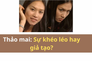 Thảo Mai: Sự khéo léo hay giả tạo? Cách nhận biết và ứng xử