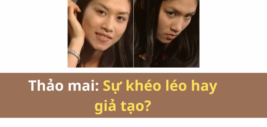 Thảo Mai: Sự khéo léo hay giả tạo? Cách nhận biết và ứng xử
