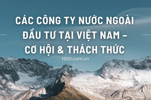 FDI là gì? Cơ hội & thách thức của các công ty nước ngoài khi đầu tư tại Việt Nam
