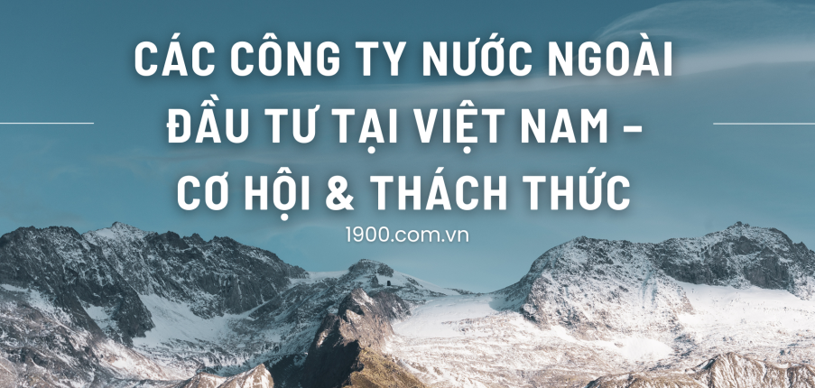 FDI là gì? Cơ hội & thách thức của các công ty nước ngoài khi đầu tư tại Việt Nam
