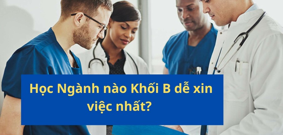 Khối B gồm những ngành nào? Học Ngành nào dễ xin việc nhất?
